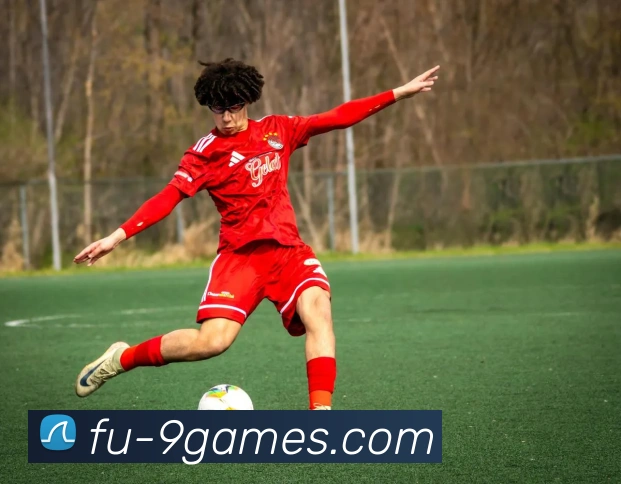 九游官网APP 封面图